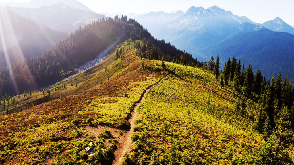 Kootenays