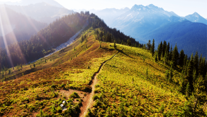 Kootenays
