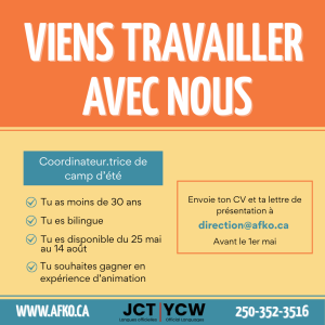 coordinateur camp été 2026